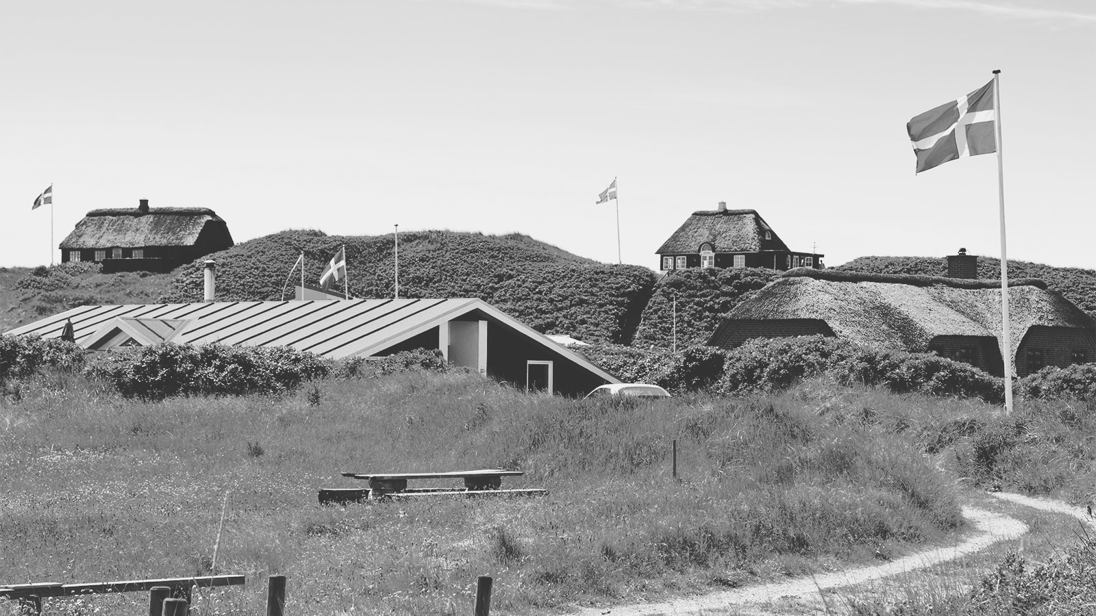 Sommerhuse i klitter med dannebrog hejst i flagstængerne